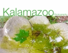 Kalamazoo photos